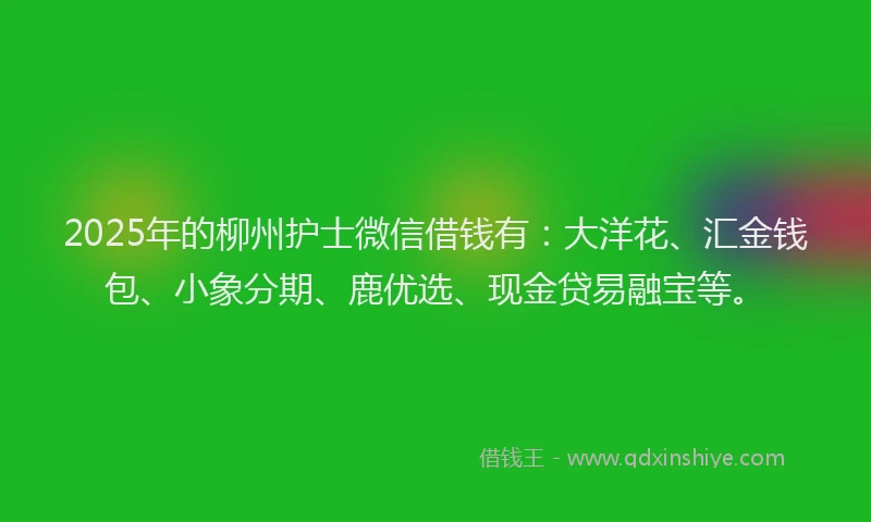 2025年的柳州护士微信借钱有：大洋花、汇金钱包、小象分期、鹿优选、现金贷易融宝等。