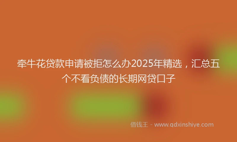牵牛花贷款申请被拒怎么办2025年精选，汇总五个不看负债的长期网贷口子