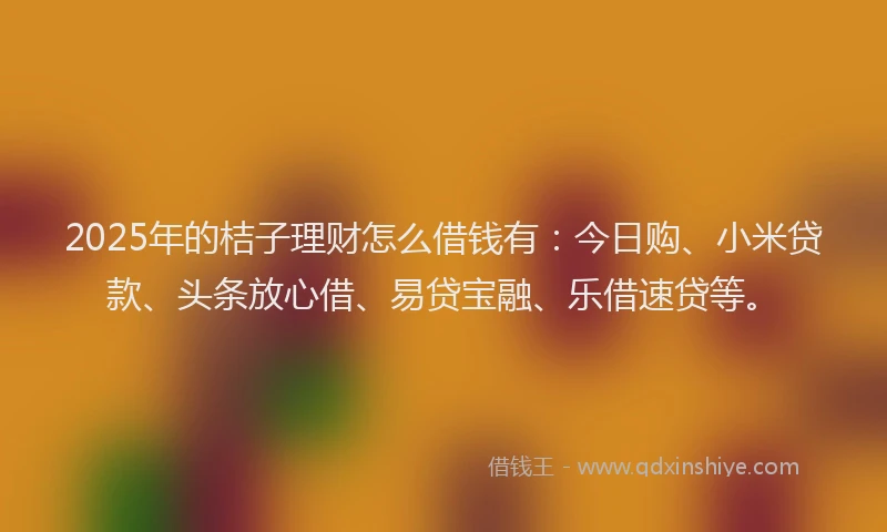 2025年的桔子理财怎么借钱有：今日购、小米贷款、头条放心借、易贷宝融、乐借速贷等。