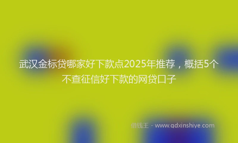 武汉金标贷哪家好下款点2025年推荐，概括5个不查征信好下款的网贷口子