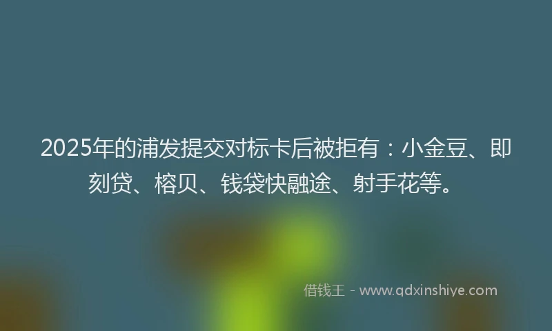 2025年的浦发提交对标卡后被拒有：小金豆、即刻贷、榕贝、钱袋快融途、射手花等。