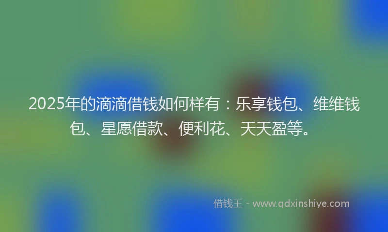 2025年的滴滴借钱如何样有：乐享钱包、维维钱包、星愿借款、便利花、天天盈等。