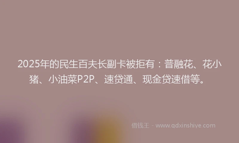 2025年的民生百夫长副卡被拒有：普融花、花小猪、小油菜P2P、速贷通、现金贷速借等。