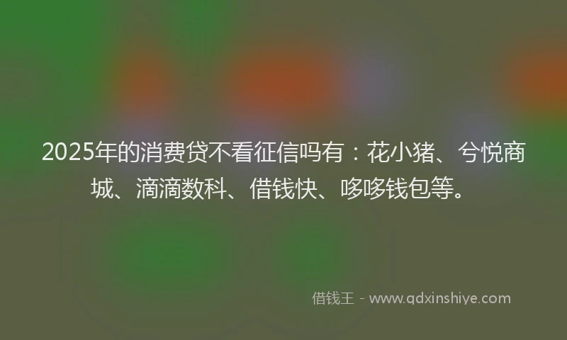 2025年的消费贷不看征信吗有：花小猪、兮悦商城、滴滴数科、借钱快、哆哆钱包等。