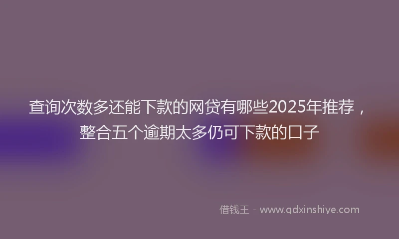 查询次数多还能下款的网贷有哪些2025年推荐，整合五个逾期太多仍可下款的口子