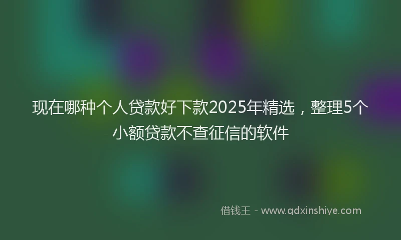 现在哪种个人贷款好下款2025年精选，整理5个小额贷款不查征信的软件