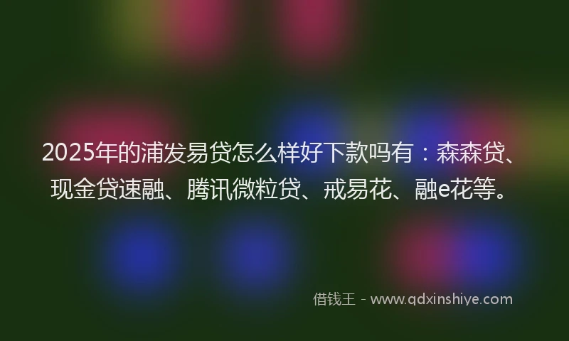 2025年的浦发易贷怎么样好下款吗有：森森贷、现金贷速融、腾讯微粒贷、戒易花、融e花等。