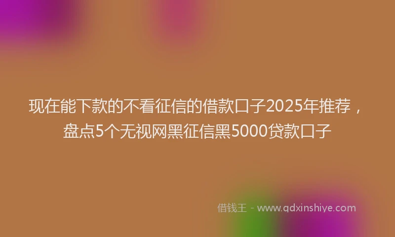 现在能下款的不看征信的借款口子2025年推荐，盘点5个无视网黑征信黑5000贷款口子