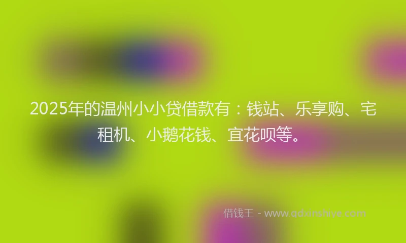 2025年的温州小小贷借款有：钱站、乐享购、宅租机、小鹅花钱、宜花呗等。