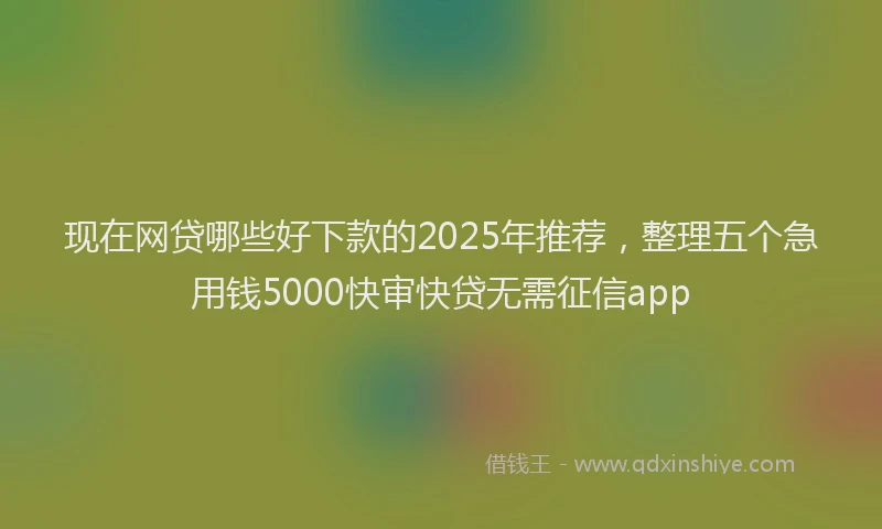 现在网贷哪些好下款的2025年推荐，整理五个急用钱5000快审快贷无需征信app