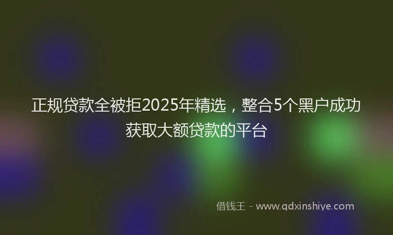 正规贷款全被拒2025年精选，整合5个黑户成功获取大额贷款的平台