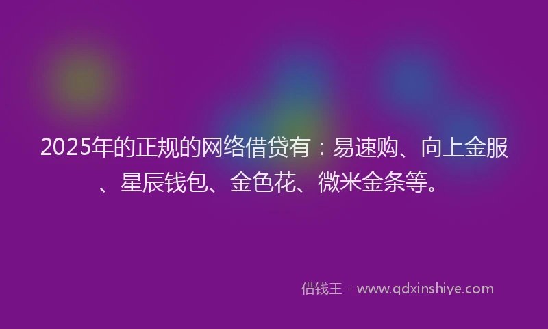 2025年的正规的网络借贷有：易速购、向上金服、星辰钱包、金色花、微米金条等。