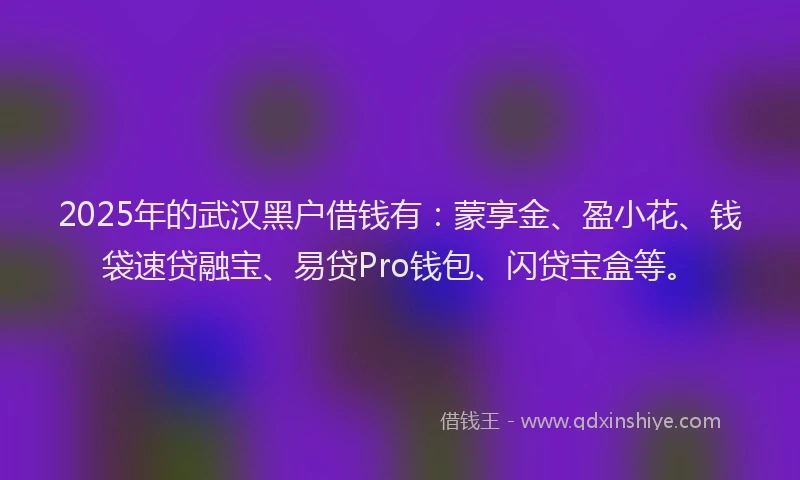 2025年的武汉黑户借钱有：蒙享金、盈小花、钱袋速贷融宝、易贷Pro钱包、闪贷宝盒等。