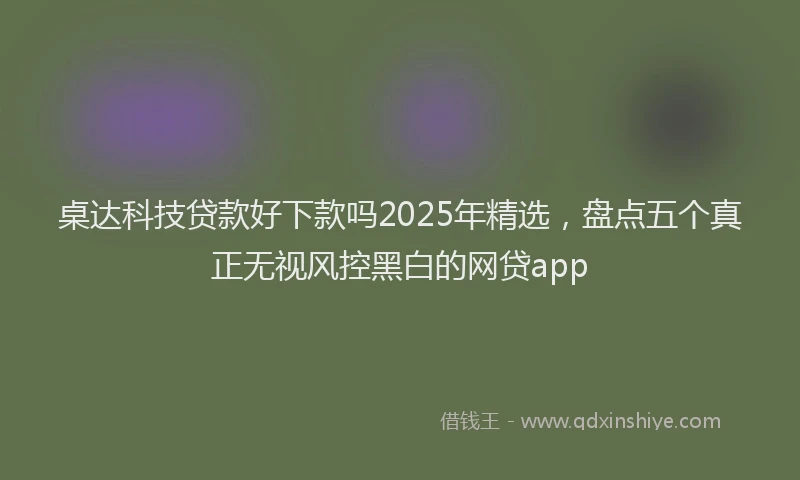 桌达科技贷款好下款吗2025年精选，盘点五个真正无视风控黑白的网贷app
