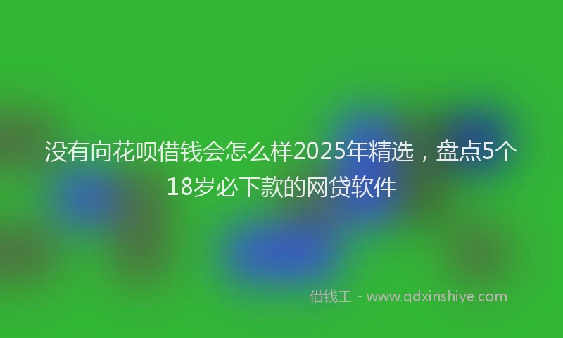 没有向花呗借钱会怎么样2025年精选，盘点5个18岁必下款的网贷软件