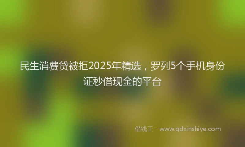 民生消费贷被拒2025年精选，罗列5个手机身份证秒借现金的平台