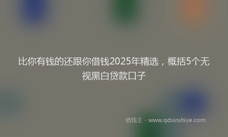 比你有钱的还跟你借钱2025年精选，概括5个无视黑白贷款口子