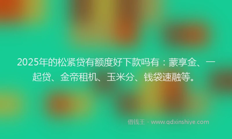 2025年的松紧贷有额度好下款吗有：蒙享金、一起贷、金帝租机、玉米分、钱袋速融等。