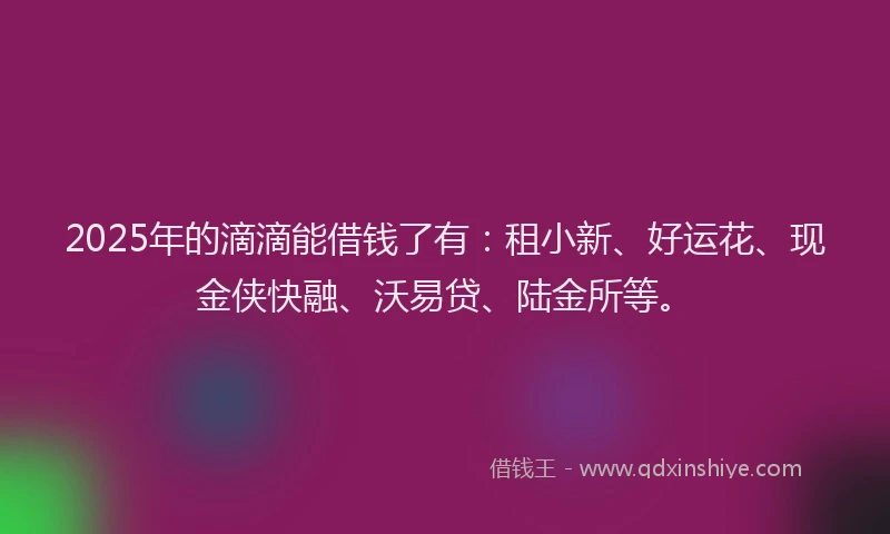 2025年的滴滴能借钱了有：租小新、好运花、现金侠快融、沃易贷、陆金所等。
