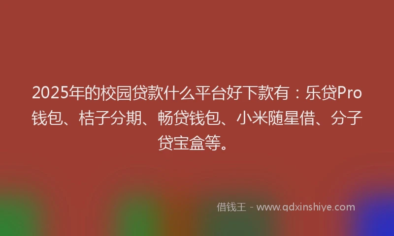 2025年的校园贷款什么平台好下款有：乐贷Pro钱包、桔子分期、畅贷钱包、小米随星借、分子贷宝盒等。