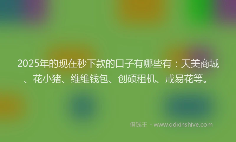 2025年的现在秒下款的口子有哪些有：天美商城、花小猪、维维钱包、创硕租机、戒易花等。