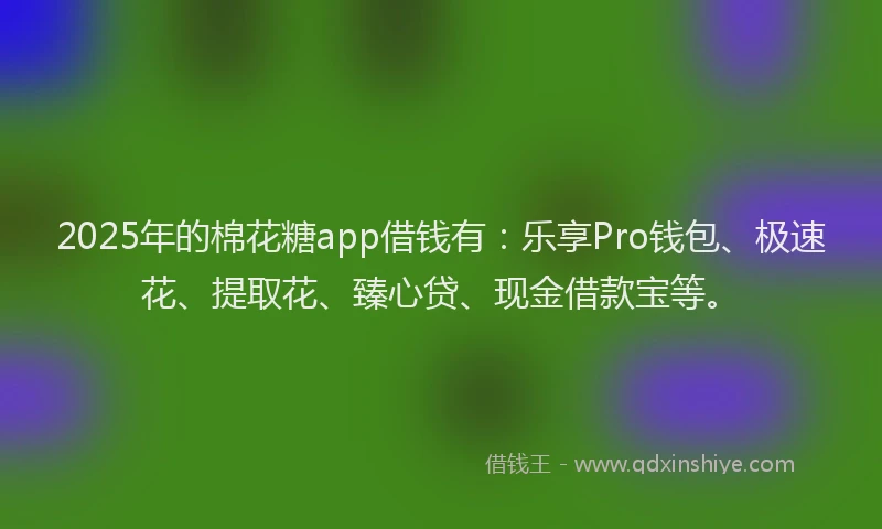 2025年的棉花糖app借钱有：乐享Pro钱包、极速花、提取花、臻心贷、现金借款宝等。