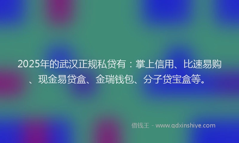 2025年的武汉正规私贷有：掌上信用、比速易购、现金易贷盒、金瑞钱包、分子贷宝盒等。