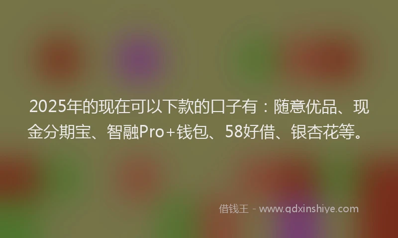 2025年的现在可以下款的口子有：随意优品、现金分期宝、智融Pro+钱包、58好借、银杏花等。