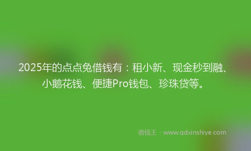 2025年的点点兔借钱有：租小新、现金秒到融、小鹅花钱、便捷Pro钱包、珍珠贷等。
