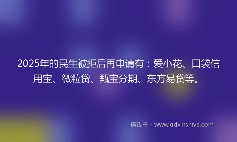 2025年的民生被拒后再申请有：爱小花、口袋信用宝、微粒贷、甄宝分期、东方易贷等。