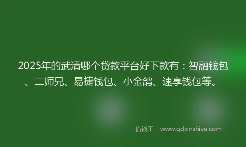 2025年的武清哪个贷款平台好下款有：智融钱包、二师兄、易捷钱包、小金鸽、速享钱包等。