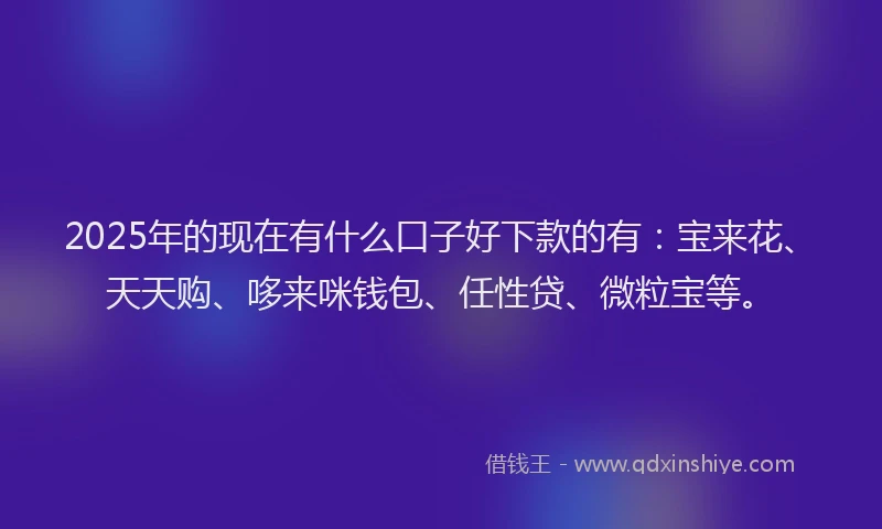 2025年的现在有什么口子好下款的有：宝来花、天天购、哆来咪钱包、任性贷、微粒宝等。