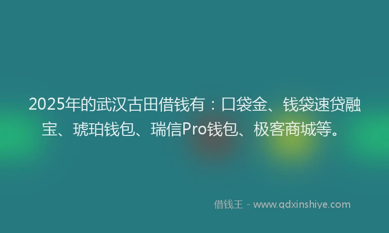 2025年的武汉古田借钱有：口袋金、钱袋速贷融宝、琥珀钱包、瑞信Pro钱包、极客商城等。