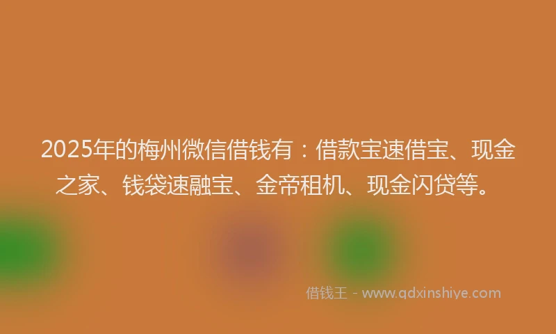 2025年的梅州微信借钱有：借款宝速借宝、现金之家、钱袋速融宝、金帝租机、现金闪贷等。