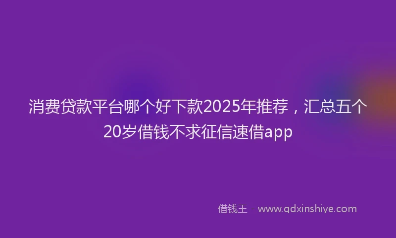 消费贷款平台哪个好下款2025年推荐，汇总五个20岁借钱不求征信速借app