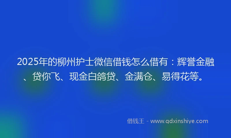 2025年的柳州护士微信借钱怎么借有：辉誉金融、贷你飞、现金白鸽贷、金满仓、易得花等。