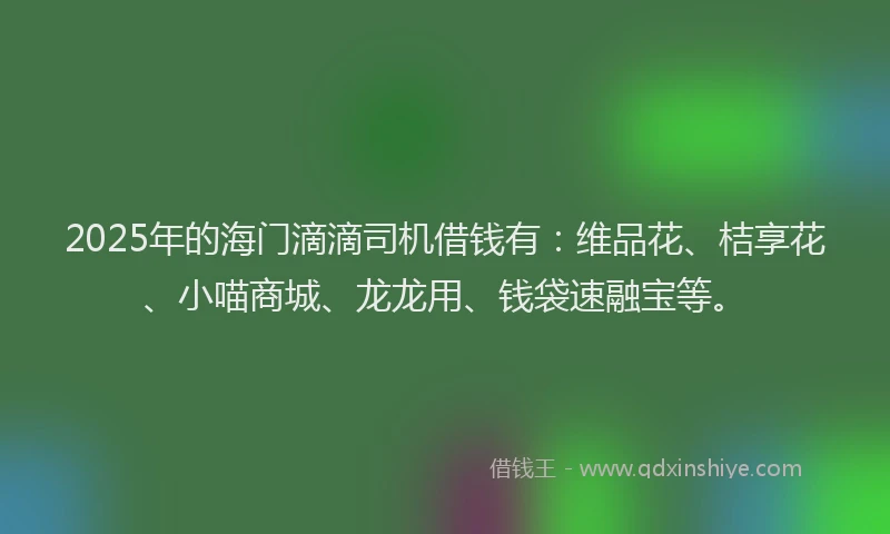 2025年的海门滴滴司机借钱有：维品花、桔享花、小喵商城、龙龙用、钱袋速融宝等。