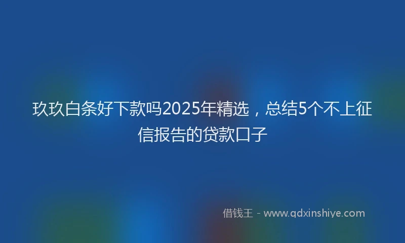 玖玖白条好下款吗2025年精选，总结5个不上征信报告的贷款口子