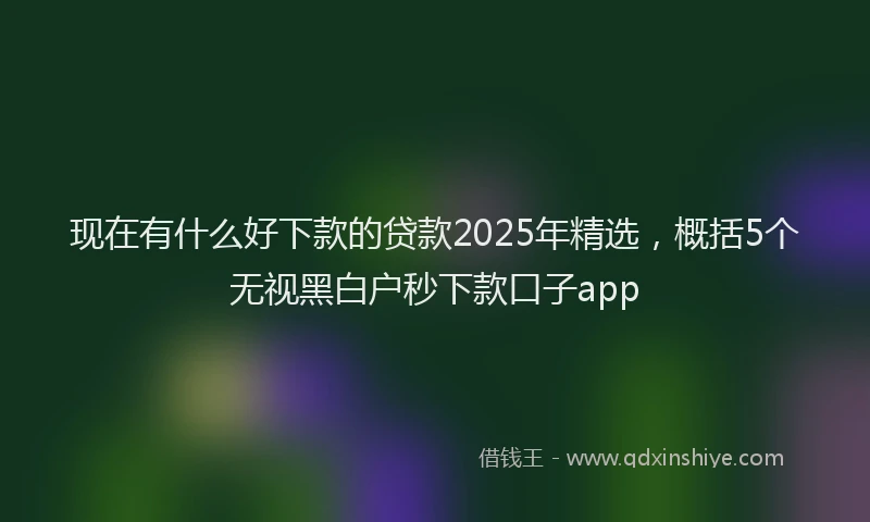 现在有什么好下款的贷款2025年精选，概括5个无视黑白户秒下款口子app