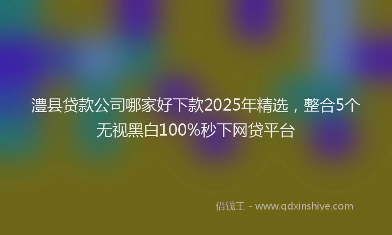 澧县贷款公司哪家好下款2025年精选，整合5个无视黑白100%秒下网贷平台