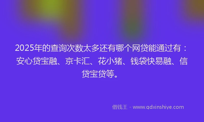 2025年的查询次数太多还有哪个网贷能通过有：安心贷宝融、京卡汇、花小猪、钱袋快易融、信贷宝贷等。