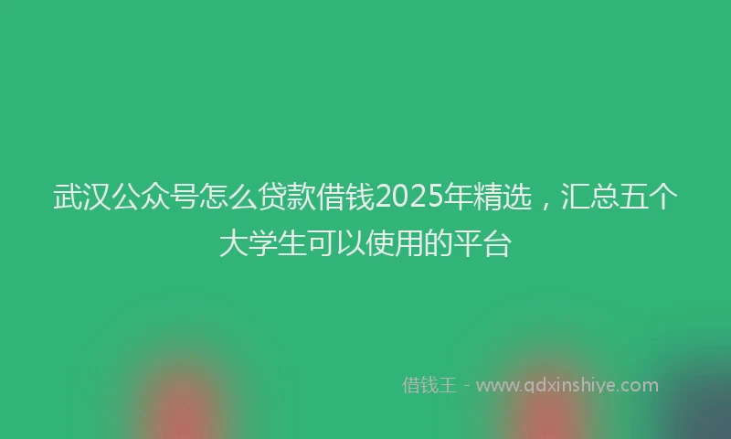 武汉公众号怎么贷款借钱2025年精选，汇总五个大学生可以使用的平台