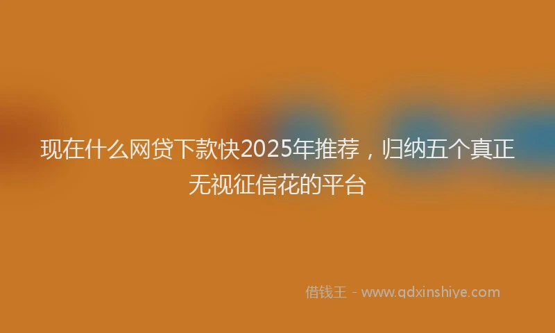 现在什么网贷下款快2025年推荐，归纳五个真正无视征信花的平台