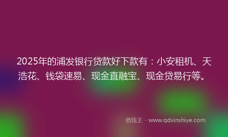 2025年的浦发银行贷款好下款有：小安租机、天浩花、钱袋速易、现金直融宝、现金贷易行等。