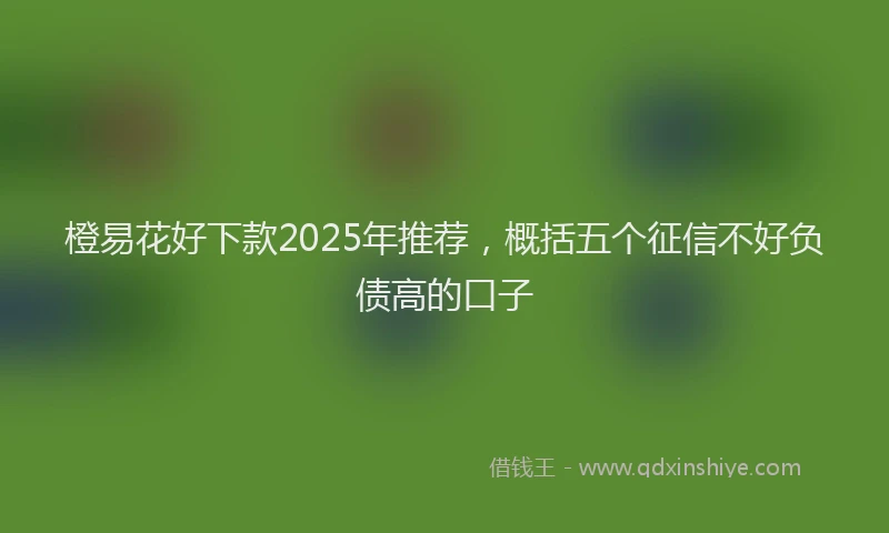 橙易花好下款2025年推荐，概括五个征信不好负债高的口子