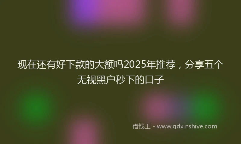 现在还有好下款的大额吗2025年推荐，分享五个无视黑户秒下的口子