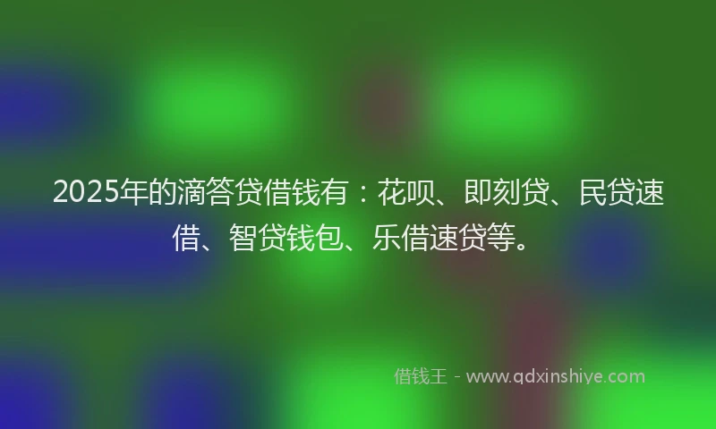 2025年的滴答贷借钱有：花呗、即刻贷、民贷速借、智贷钱包、乐借速贷等。