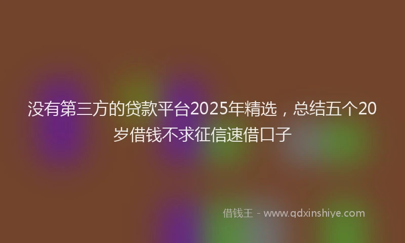 没有第三方的贷款平台2025年精选，总结五个20岁借钱不求征信速借口子
