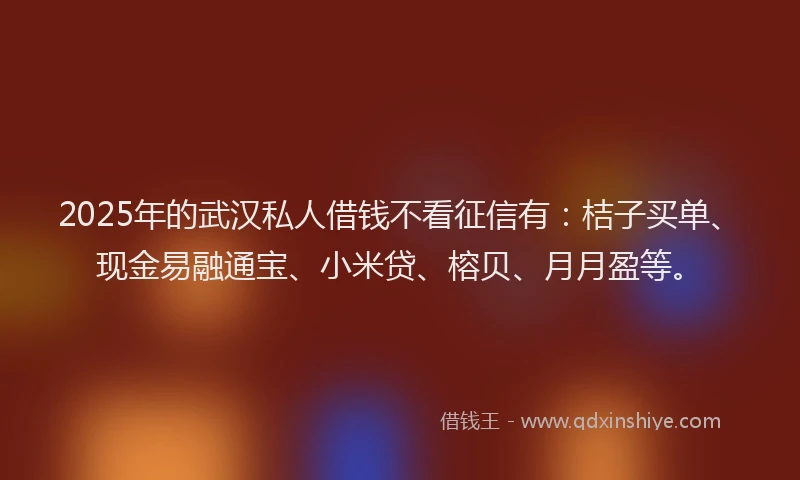 2025年的武汉私人借钱不看征信有：桔子买单、现金易融通宝、小米贷、榕贝、月月盈等。