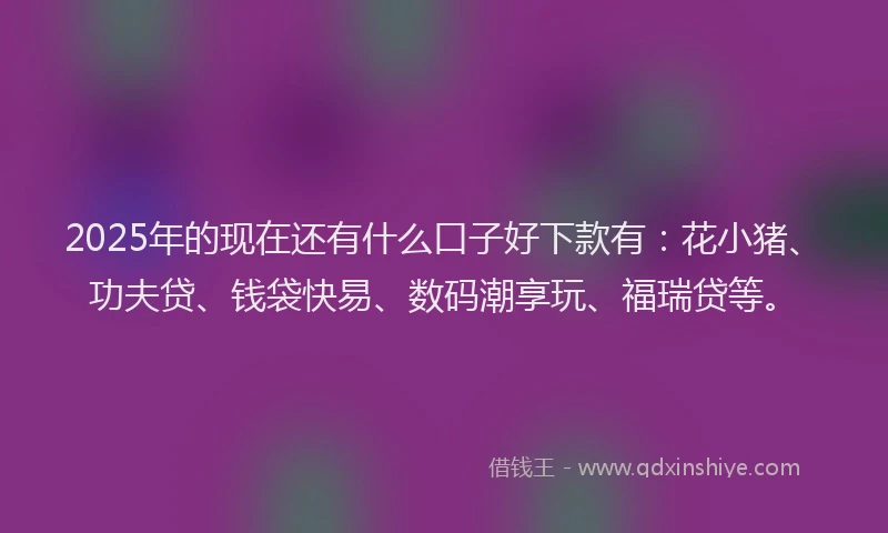 2025年的现在还有什么口子好下款有：花小猪、功夫贷、钱袋快易、数码潮享玩、福瑞贷等。
